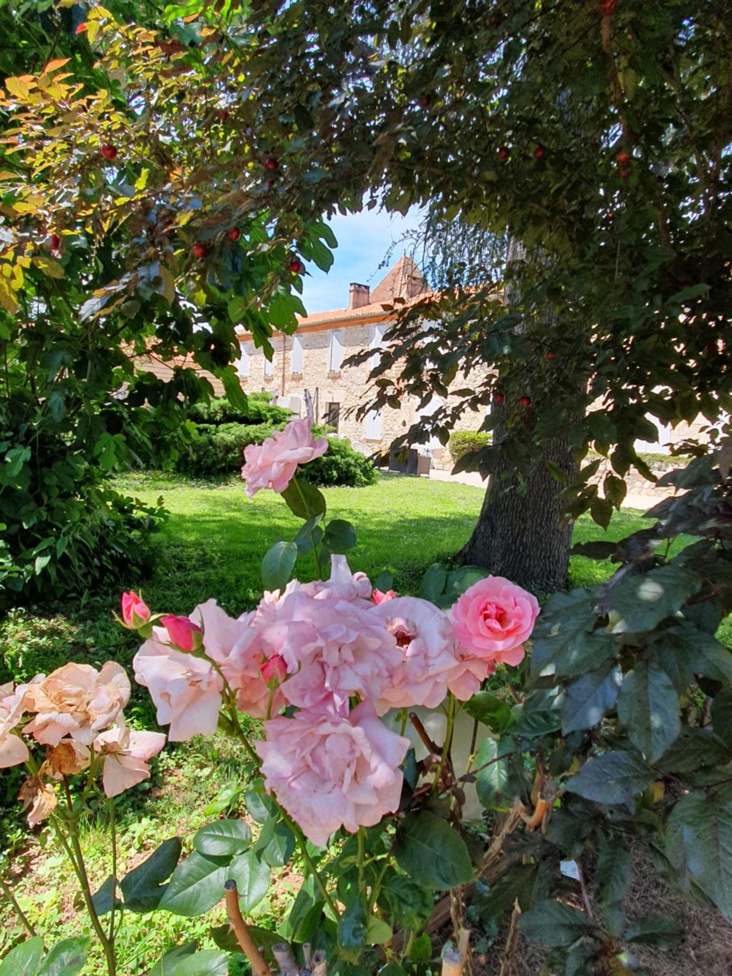 Logis Hotel Le Prince Noir Sérignac-sur-Garonne Dış mekan fotoğraf